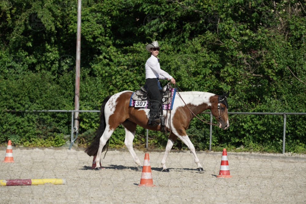 s_APF06919.jpg
